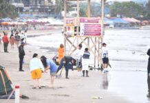 Con brigadas de limpieza en Villa del Mar, garantizada la llegada de visitantes: PMA
