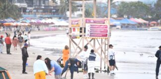 Con brigadas de limpieza en Villa del Mar, garantizada la llegada de visitantes: PMA