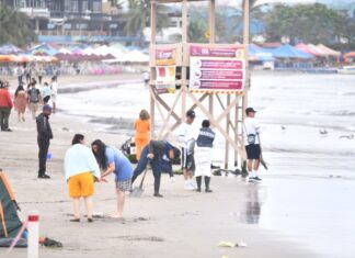 Con brigadas de limpieza en Villa del Mar, garantizada la llegada de visitantes: PMA