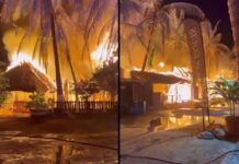 Incendio en Punta Zicatela arrasó con decenas de negocios turísticos en Puerto Escondido, Oaxaca