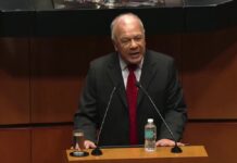 PT respalda el “plan B” de Sheinbaum, pero rechaza incluir revocación de mandato