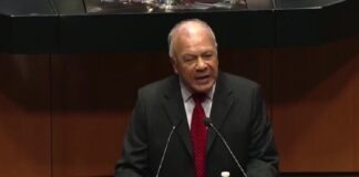 PT respalda el “plan B” de Sheinbaum, pero rechaza incluir revocación de mandato