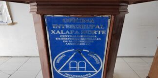 Advierten sobre los efectos del alcoholismo en mujeres; realizarán conferencia informativa en Xalapa