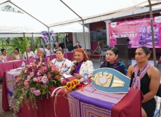 Legado de feministas mexicanas para el mundo de hoy: diputada.