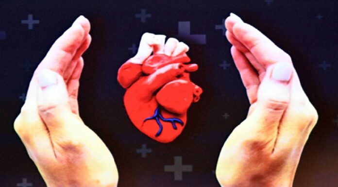 Problemas cardiovasculares, más frecuentes en las mujeres.