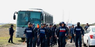 Atienden 3.5 kilómetros de litoral en Alvarado con brigadas de saneamiento