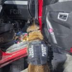 Por transportar 25 kilos de Clorhidrato de cocaína lo sentencian a 22 años de prisión