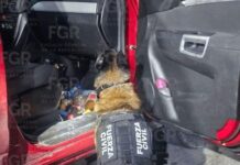 Por transportar 25 kilos de Clorhidrato de cocaína lo sentencian a 22 años de prisión