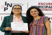 Morena: la purga del poder .