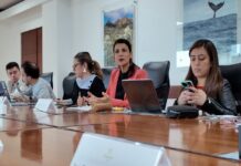 AZCARM denuncia que gobierno de Colombia matará a 80 hipopotamos