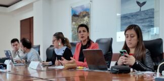 AZCARM denuncia que gobierno de Colombia matará a 80 hipopotamos