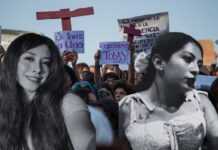 Hubo negligencia institucional por feminicidios de Ana Febe y Edith Guadalupe: OCNF