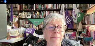 Historia feminista transforma el análisis del pasado: Ana Lau Jaiven .