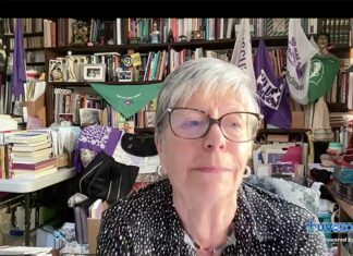 Historia feminista transforma el análisis del pasado: Ana Lau Jaiven .