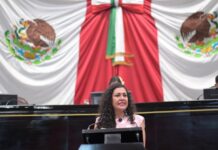 Propone diputada precisar figuras de familia de Acogida y Pre-adoptiva en Veracruz