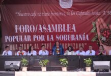 Realizan en Coatepec la tercera edición del foro Una mano al café veracruzano.