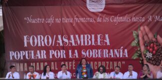 Realizan en Coatepec la tercera edición del foro Una mano al café veracruzano.
