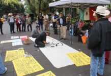 Cafetaleros denuncian el abandono del campo y pérdidas del 40% por plaga de la roya.