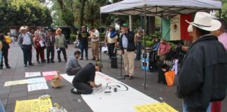 Cafetaleros denuncian el abandono del campo y pérdidas del 40% por plaga de la roya.