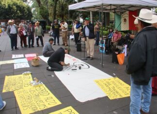 Cafetaleros denuncian el abandono del campo y pérdidas del 40% por plaga de la roya.