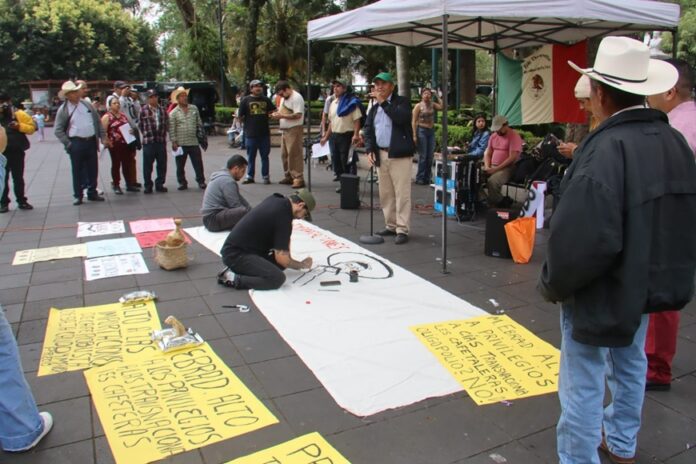 Cafetaleros Xalapa Ver