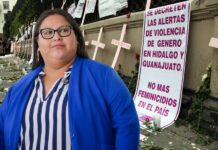 Citlalli Hernández dejó las Alertas de Violencia de Género abandonadas: María Luz Estrada.