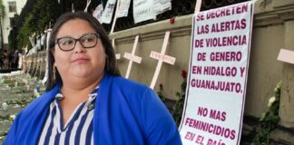 Citlalli Hernández dejó las Alertas de Violencia de Género abandonadas: María Luz Estrada.