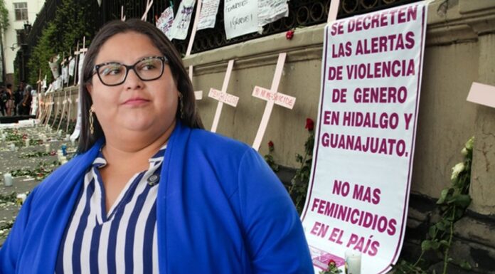 Citlalli Hernández dejó las Alertas de Violencia de Género abandonadas: María Luz Estrada.