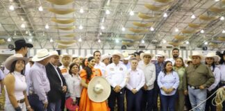 Arranca el Primer Congreso Nacional del Caballo con expertos nacionales e internacionales
