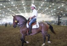 Veracruz reúne a expertos y tradición en el cierre del Congreso Nacional del Caballo