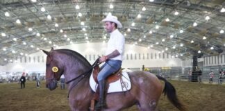 Veracruz reúne a expertos y tradición en el cierre del Congreso Nacional del Caballo