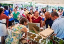 Con 50 expositores, el Ayuntamiento invita al Mercado Bicentenario este fin de semana