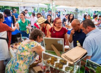Con 50 expositores, el Ayuntamiento invita al Mercado Bicentenario este fin de semana
