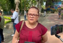 Detienen a presunto agresor tras asesinato de taxista en Xalapa; refuerzan estrategia de seguridad.