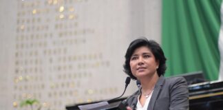 Desconexión digital infantil sería derecho en ley de Veracruz .