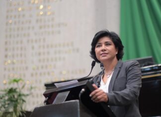 Desconexión digital infantil sería derecho en ley de Veracruz .