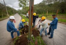 Personal de Alumbrado Público trabaja en restablecer luminarias en fraccionamiento Las Fuentes