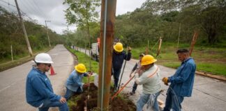 Personal de Alumbrado Público trabaja en restablecer luminarias en fraccionamiento Las Fuentes