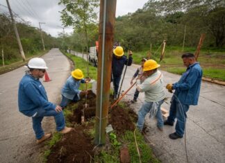Personal de Alumbrado Público trabaja en restablecer luminarias en fraccionamiento Las Fuentes