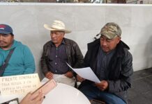 Comunidades denuncian ecocidio en el Cofre de Perote; exigen acción inmediata de autoridades