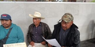 Comunidades denuncian ecocidio en el Cofre de Perote; exigen acción inmediata de autoridades