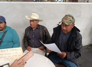 Comunidades denuncian ecocidio en el Cofre de Perote; exigen acción inmediata de autoridades