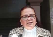 Xalapa refuerza cultura de prevención con simulacro y brigadas ciudadanas: Daniela Griego.