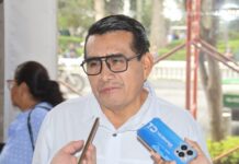 Dip. Esteban Bautista impulsará iniciativa “ABC” para reforestación y recuperación de cuencas en Veracruz .