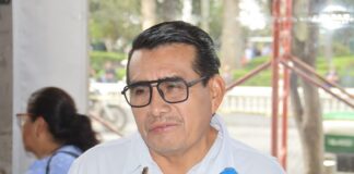 Dip. Esteban Bautista impulsará iniciativa “ABC” para reforestación y recuperación de cuencas en Veracruz .
