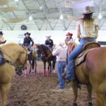 Veracruz, punto de reintroducción del caballo en América del Norte.