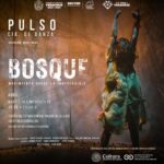 Celebra SECVER Día Internacional de la Danza con la puesta Bosque, Movimiento desde lo irreversible.