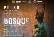 Celebra SECVER Día Internacional de la Danza con la puesta Bosque, Movimiento desde lo irreversible.