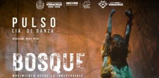 Celebra SECVER Día Internacional de la Danza con la puesta Bosque, Movimiento desde lo irreversible.