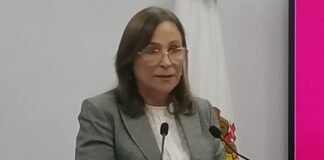 Reporta Nahle alta afluencia turística en Veracruz pese a campañas de desprestigio.